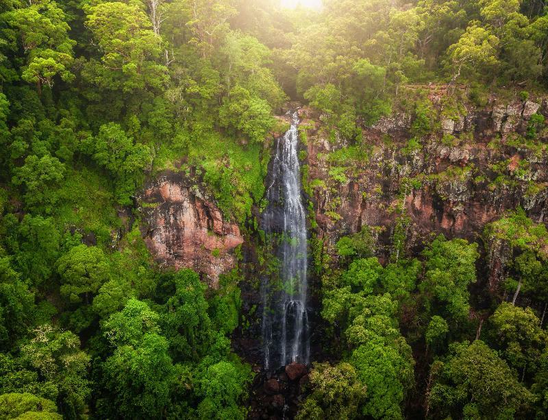 Binna Burra Mountain Lodge Gold Coast Exterior photo